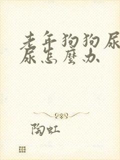 老年狗狗尿不出尿怎么办