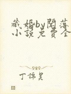 藏婚by闻落叶小说免费全文阅读