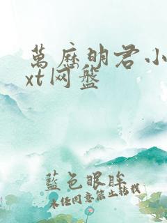 万历明君小说txt网盘