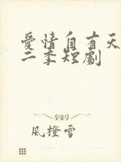 爱情自有天意第二季短剧