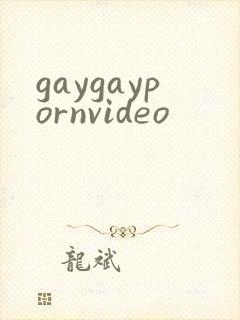 gaygaypornvideo