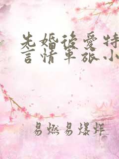 先婚后爱特种兵言情军旅小说