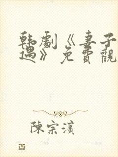 韩剧《妻子的外遇》免费观看