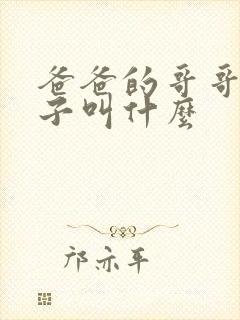 爸爸的哥哥的孩子叫什么