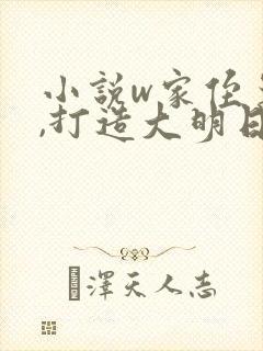 小说w家侄崇祯,打造大明日不落》