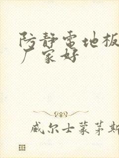 防静电地板哪个厂家好