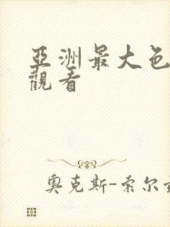 亚洲最大色在线观看
