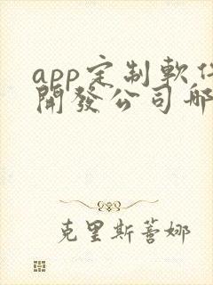 app定制软件开发公司哪家好