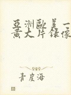 亚洲欧美一级特黄大片录像