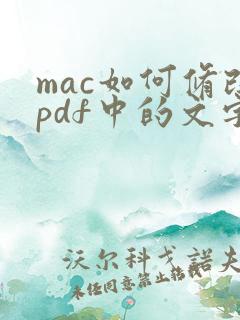 mac如何修改pdf中的文字内容