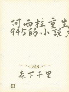 何雨柱重生到1945的小说免费阅读