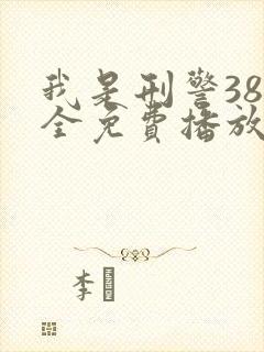 我是刑警38集全免费播放