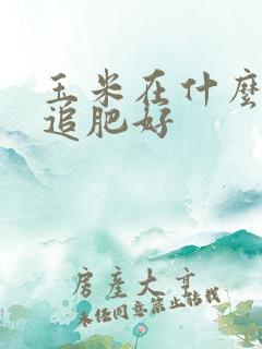 玉米在什么时间追肥好
