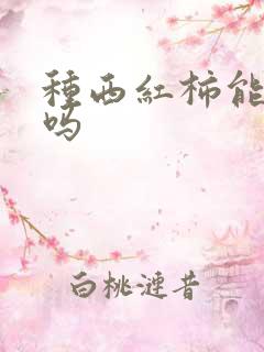 种西红柿能重茬吗