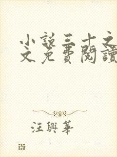 小说三十之妻全文免费阅读