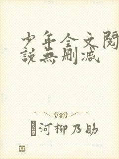 少年全文阅读小说无删减