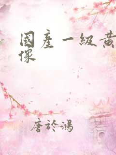 国产一级黄色录像