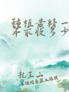 种植黄精一般一年亩收多少