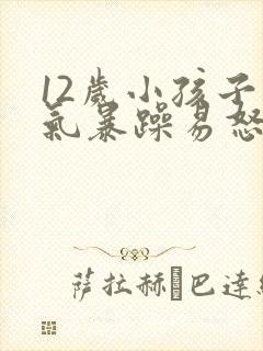 12岁小孩子脾气暴躁易怒怎么办