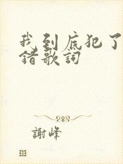 我到底犯了什么错歌词