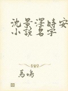 沈景泽时安乔月小说名字