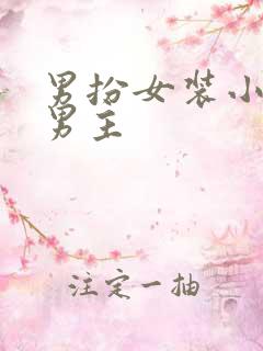 男扮女装小说双男主