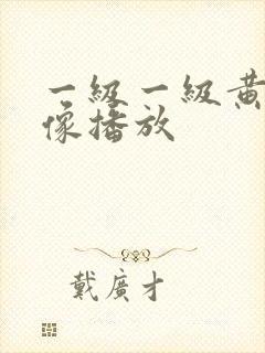 一级一级黄色录像播放