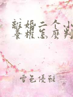 离婚二个小孩抚养权怎么判
