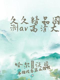 久久精品国产亚洲av高清大结局