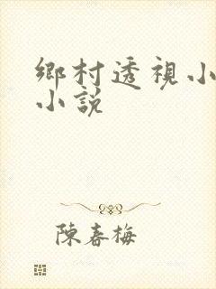 乡村透视小仙医小说