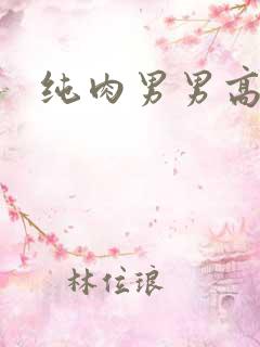 纯肉男男高h