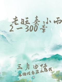 老旺秦小雨102一300章