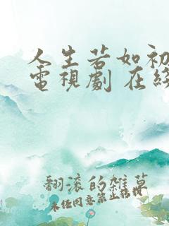 人生若如初见 电视剧 在线观看