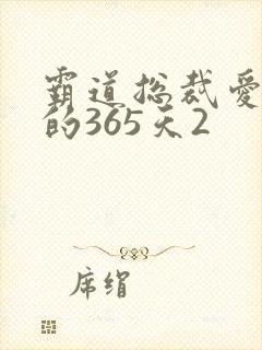 霸道总裁爱上我的365天2