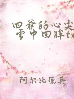 四爷的心尖宠妃 雪中回眸txt