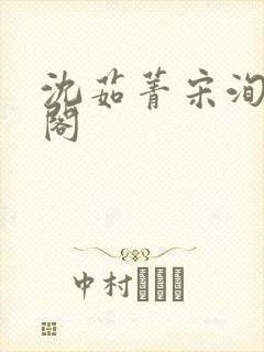 沈茹菁宋洵笔趣阁