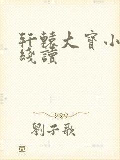 轩辕大宝小说在线读
