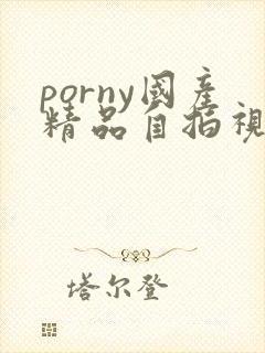 porny国产精品自拍视频