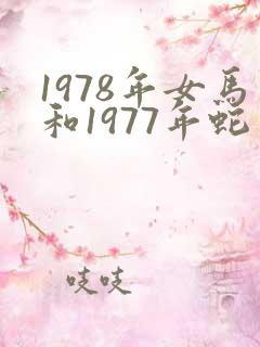 1978年女马和1977年蛇男婚配