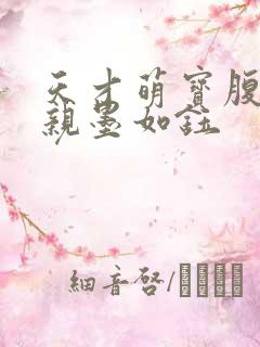 天才萌宝腹黑娘亲墨如钰