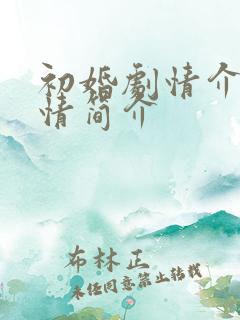 初婚剧情介绍剧情简介