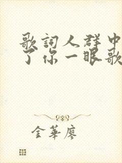 歌词人群中多看了你一眼歌名叫什么