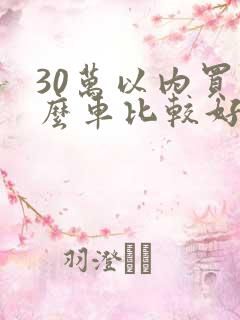 30万以内买什么车比较好