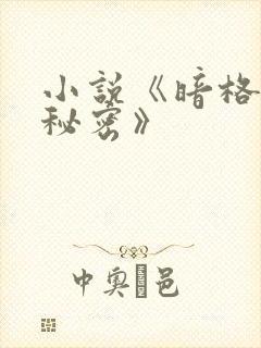 小说《暗格里的秘密》