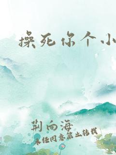 操死你个小贱逼