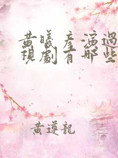 黄曦彦演过的电视剧有哪些