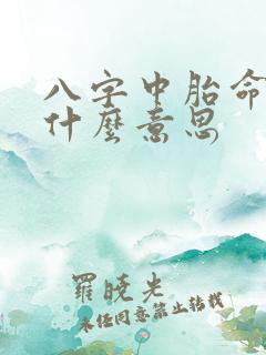 八字中胎命身是什么意思