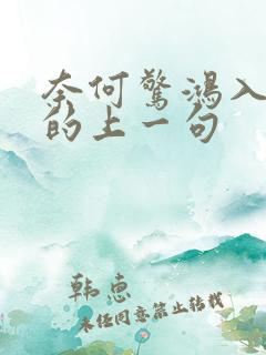 奈何惊鸿入我心的上一句