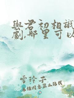 与君初相识电视剧,哪里可以看到?