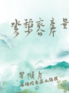 水稻亩产量一般多少公斤